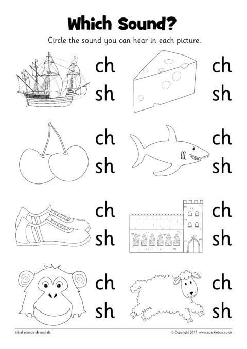 Which Sound  Worksheets â Ch And Sh (sb12216)